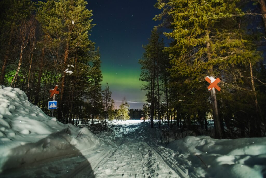 Skiing Under the Northern Lights