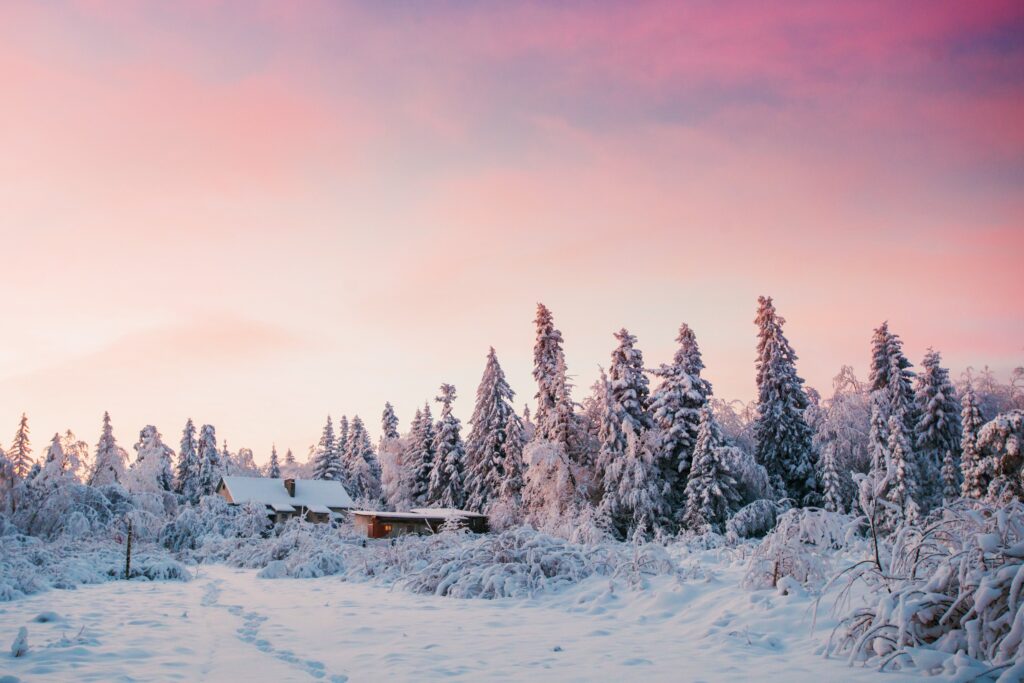 Enchanting Winter Landscape