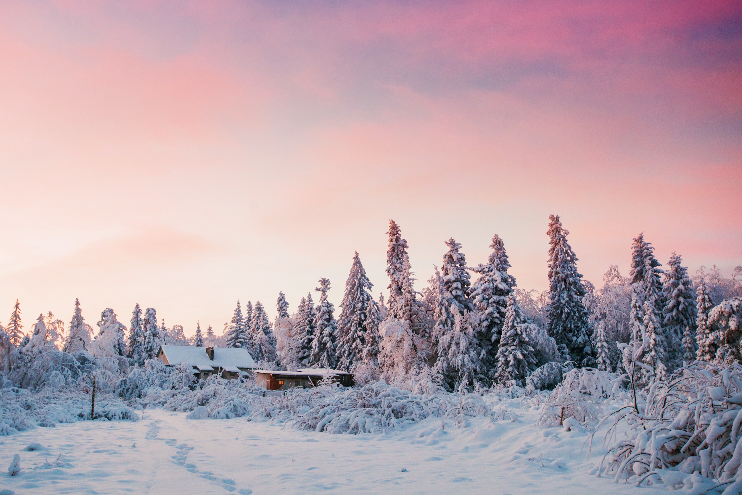 Enchanting Winter Landscape